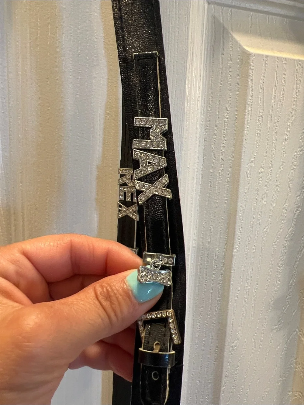 Dog Leashes that can be Personalized